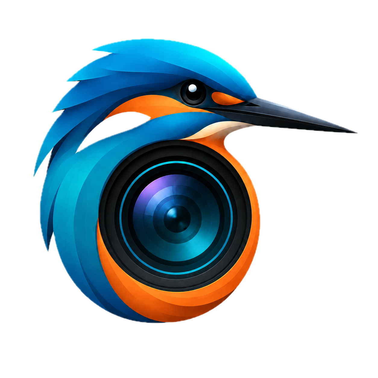 Kingfisher Video Studio